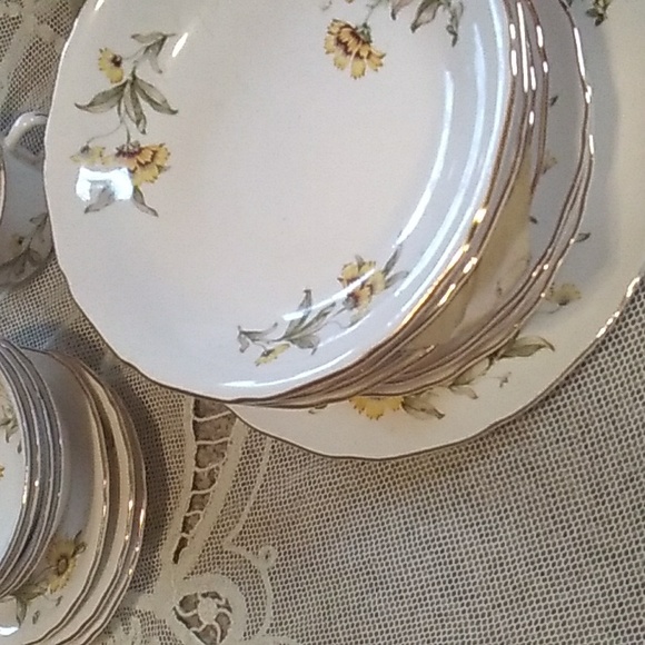 ⚜️ Vintage Autumn Mist Dinnerware RARE CANONSBURG PRISTINE - Picture 3 of 16